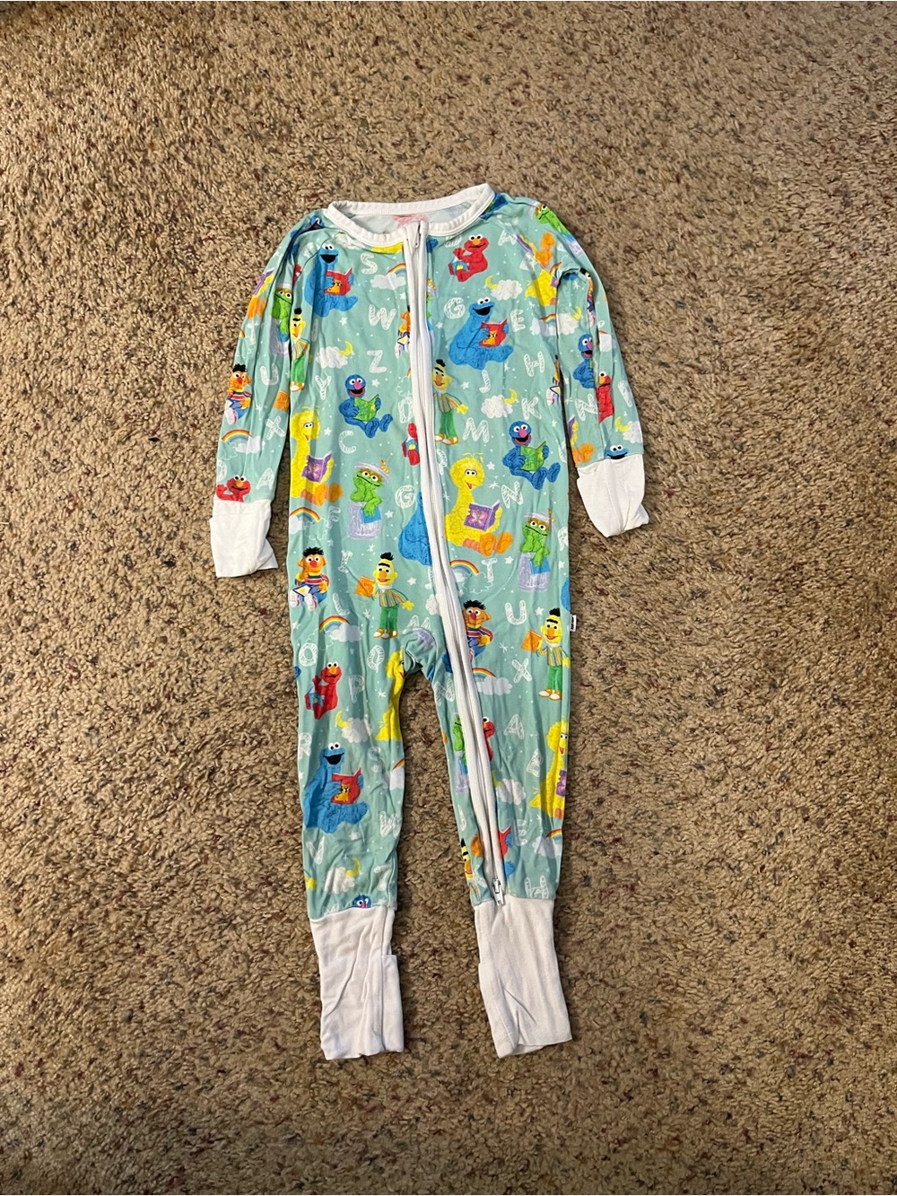 Little sleepies sesame street zippy